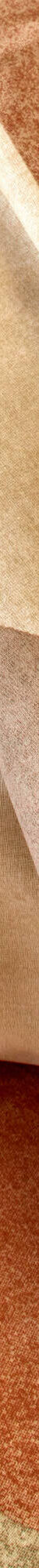 Linge de lit imprimé Alex coton (caramel) Linge de lit imprimé Alex coton (caramel)